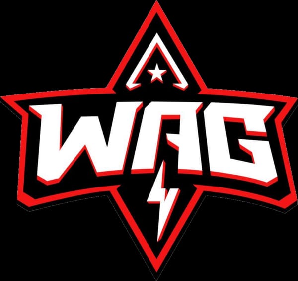 Free Fire World Series 2025 Team Jerseys